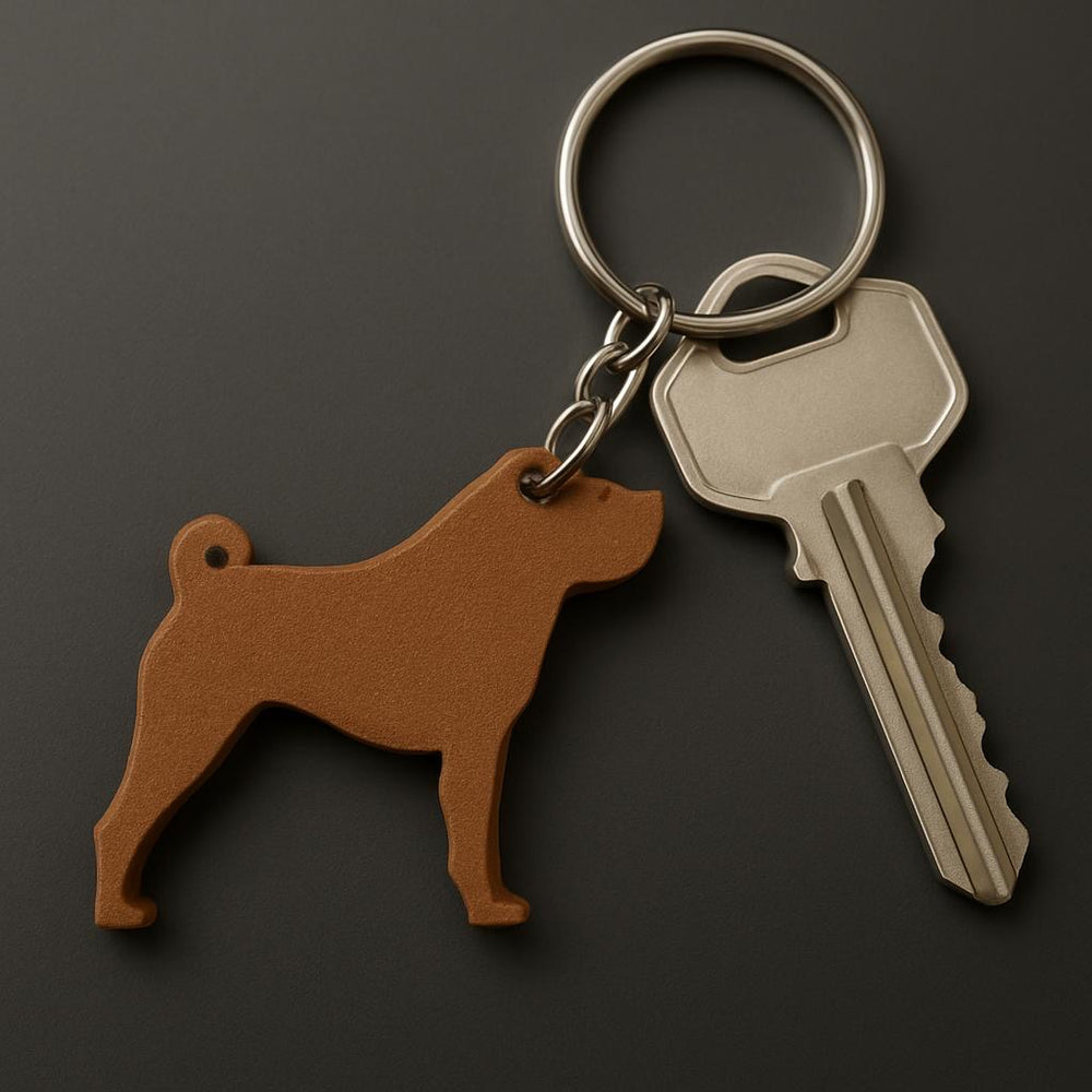 Keychain with dog-shaped key holder and a key on a dark background