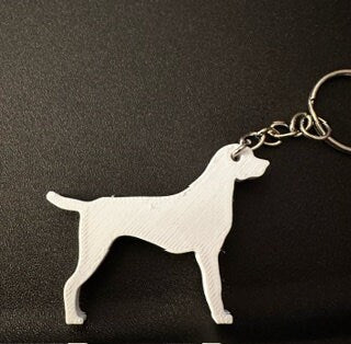 Personalised Viszla Dog keyring (3D Printed)
