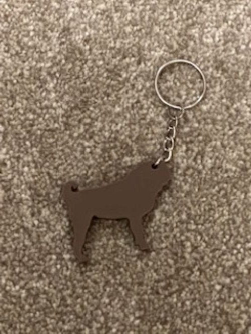 Personalised Pug Dog keyring (3D Printed)