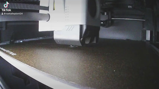 Australian Shepherd Dog Lead Hook 3D | Unique Personalised Gifts