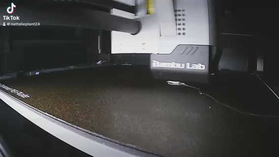 Video Of Weimaraner Dog Lead Hook Stl File Being 3D Printed.