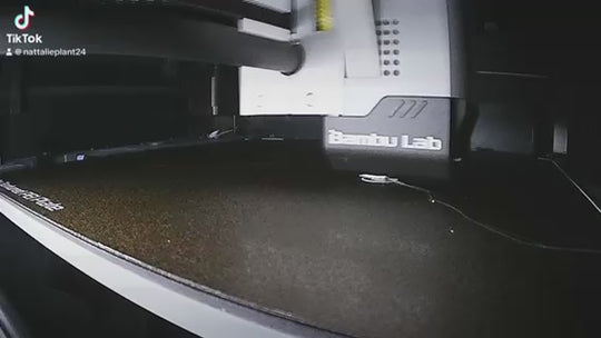 Video Of Weimaraner Dog Lead Hook Stl File Being 3D Printed.