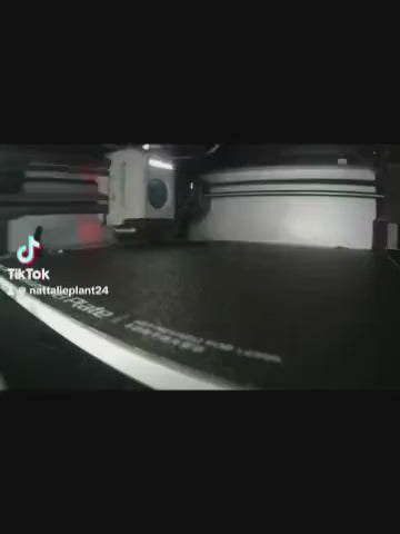 Dog Lead Hook | Pet Shape Bone | Unique Personalised Gifts