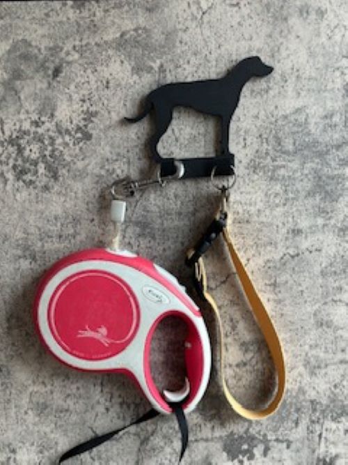 Personalised Rhodegian Ridgeback Dog Lead Hook | 3D Printed | Unique Personalised Gifts