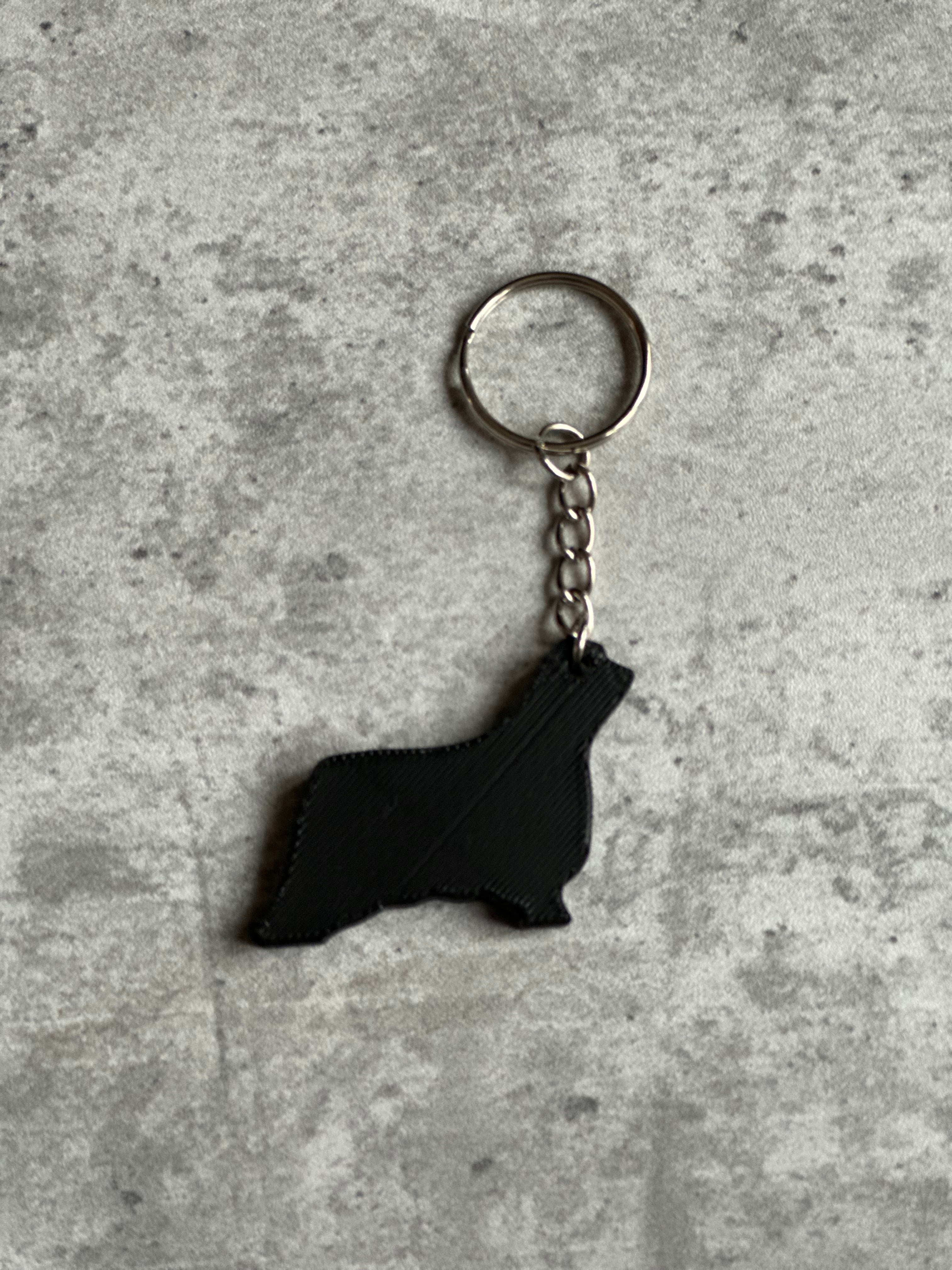 Bearded Collie Dog Keyring 3D | Dog 3D | Unique Personalised Gifts