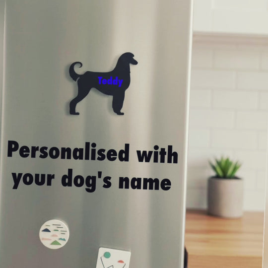 Video showing personalised Afghan Hound dog magnet with custom names on fridge UK 3D printed dog gift