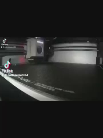 Video Of Viszla Dog Lead Hook Stl File Being 3D Printed.