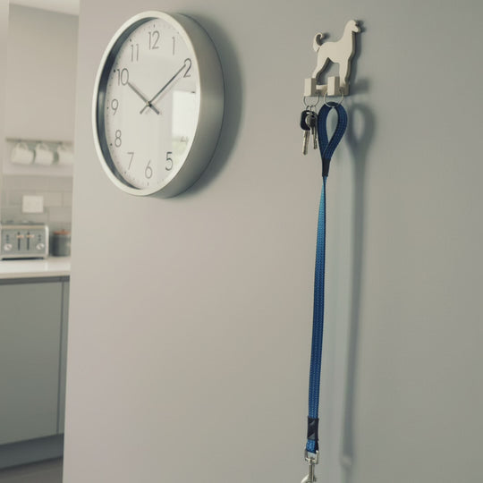 Dog-shaped wall hook holding keys and a blue dog lead on a grey wall, shown in a modern home interior.